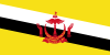 Brunei Country Flag Icon
