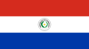 Paraguay Icône de drapeau de pays