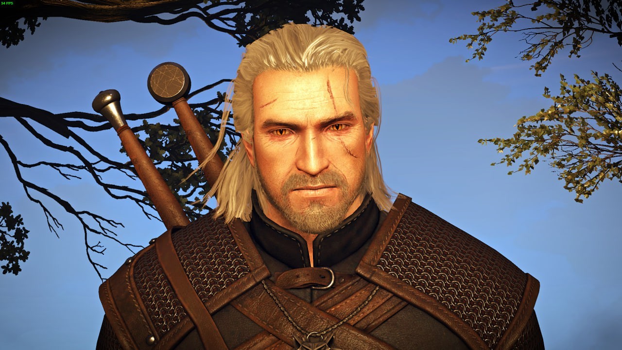 Appearance Cheats in The Witcher 3