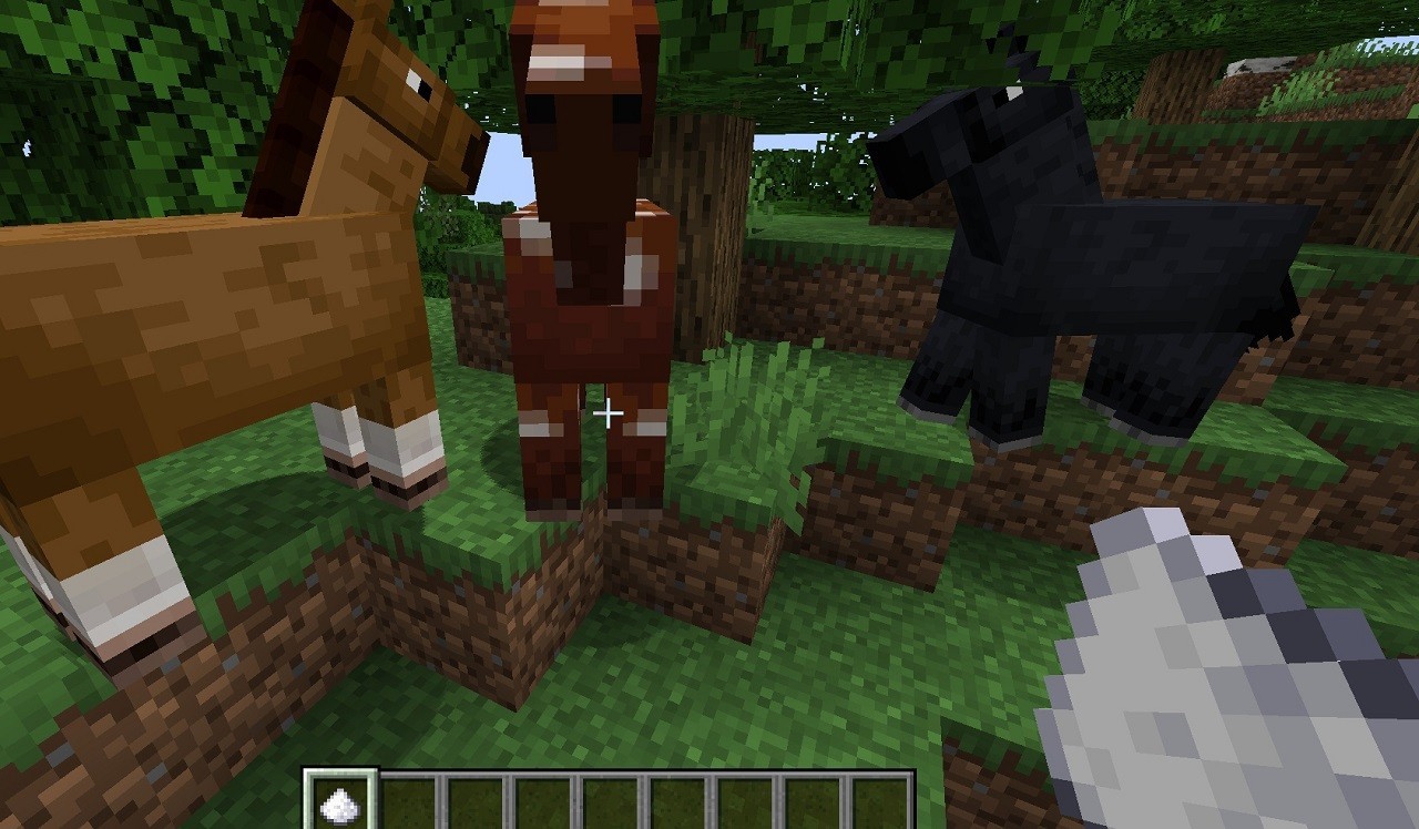How to feed a horse in Minecraft