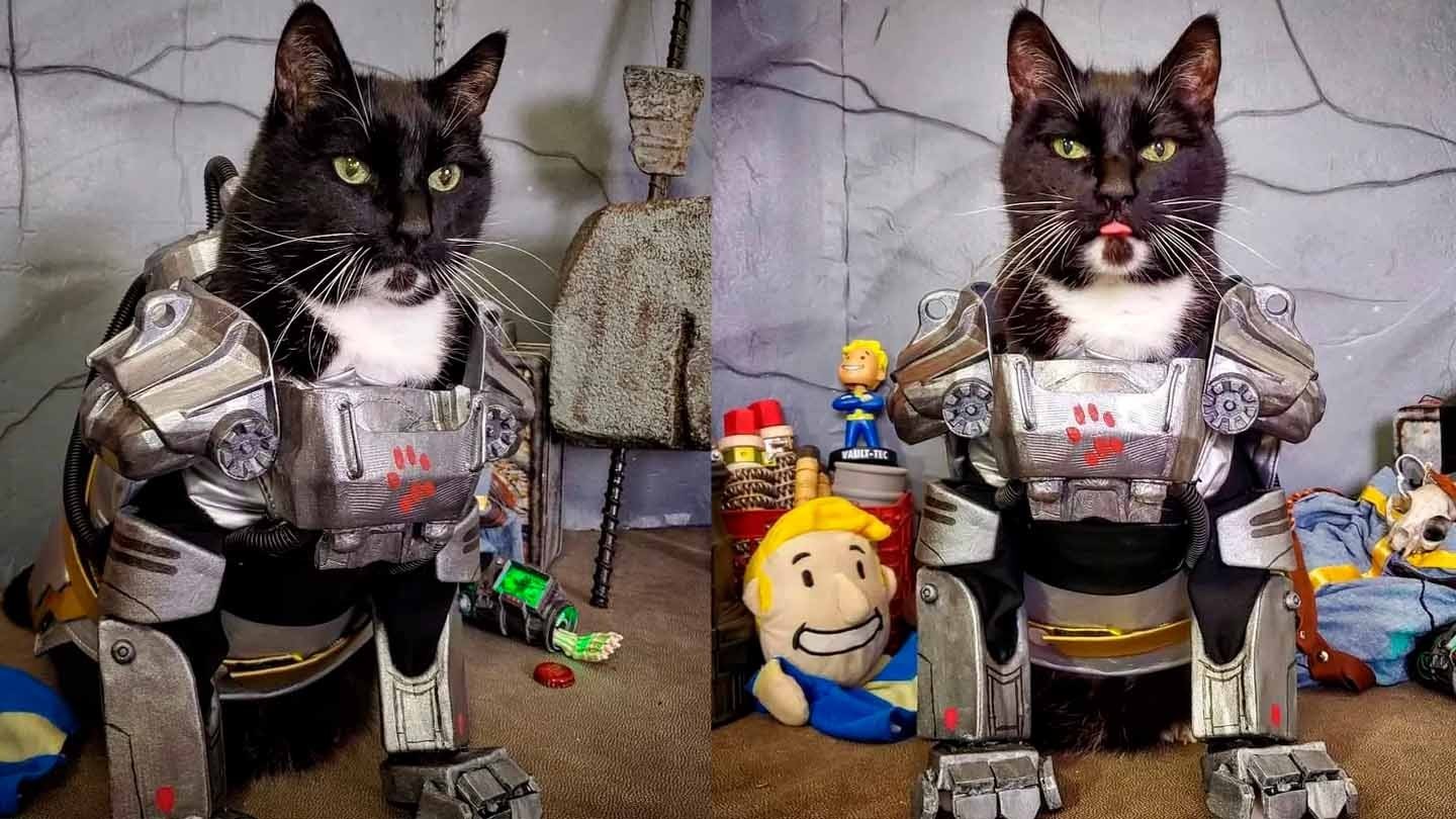 Brotherhood of Steel armor cat 