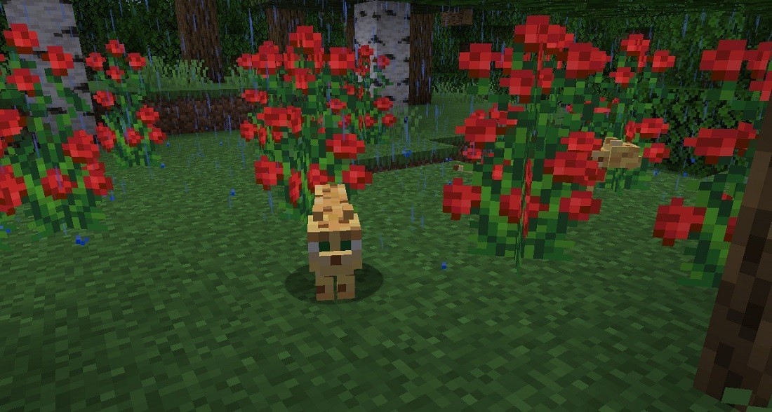 cats in Minecraft