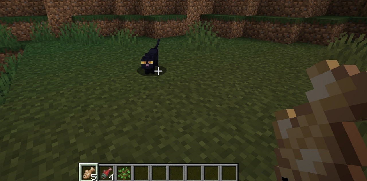 Cats in Minecraft
