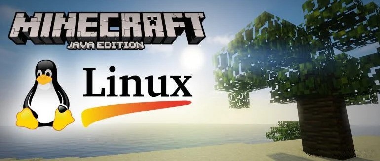 Organizando o servidor Minecraft no Linux