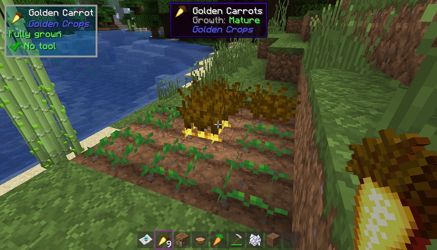 golden carrot in minecraft