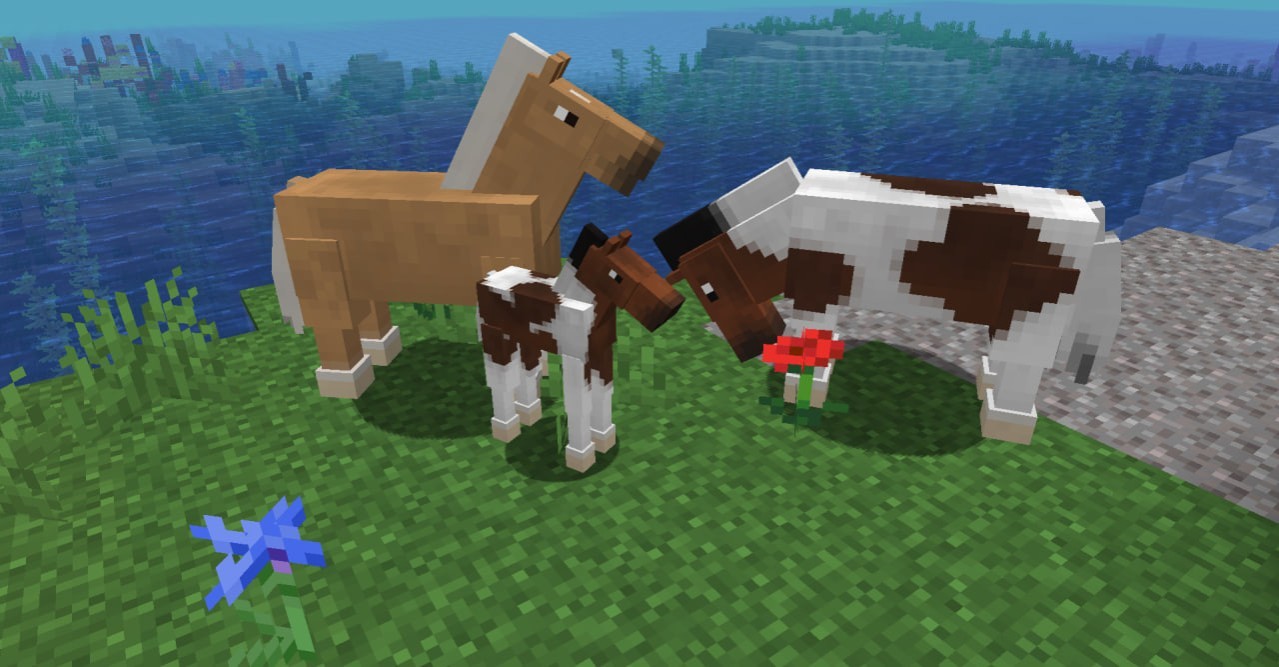 Where can you find horses in minecraft