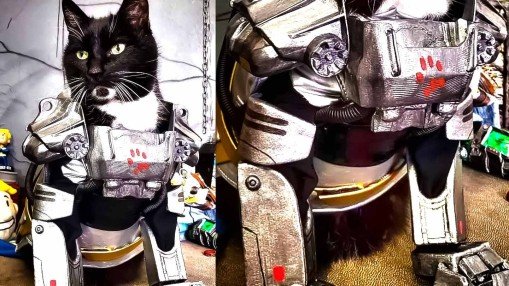Photo of Brotherhood of Steel power armor for a cat Fallout fans amaze